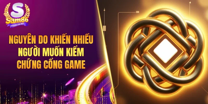 Nguyên do khiến nhiều người muốn kiểm chứng cổng game